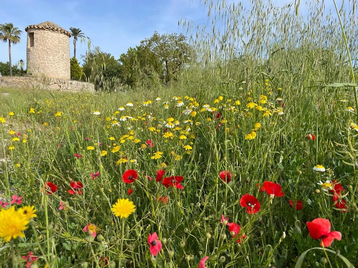Finca Son Manera Montuiri  4*, Montuiri (Mallorca)